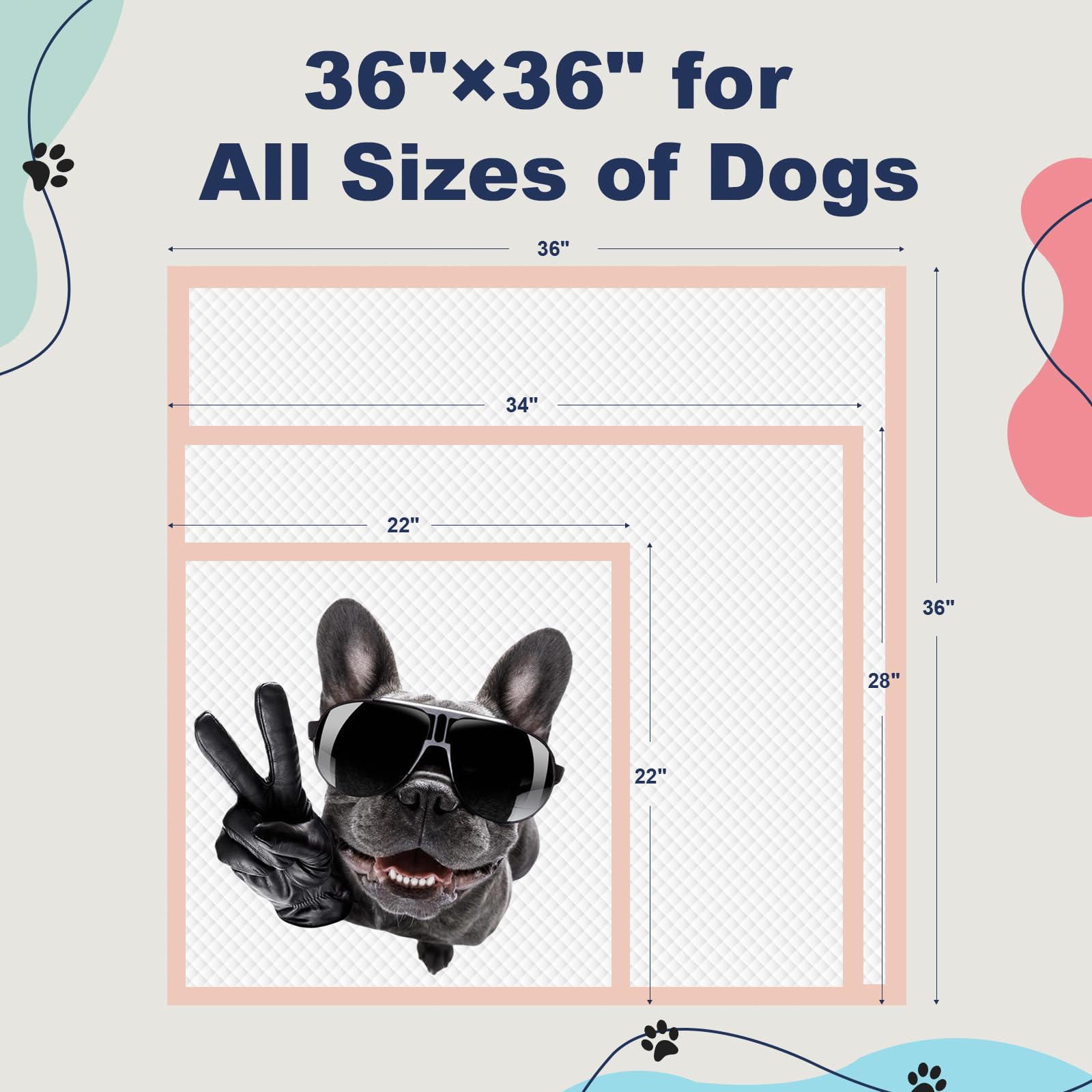 Oomicat XXL Puppy Pads leakproof top layer protects floors during use.