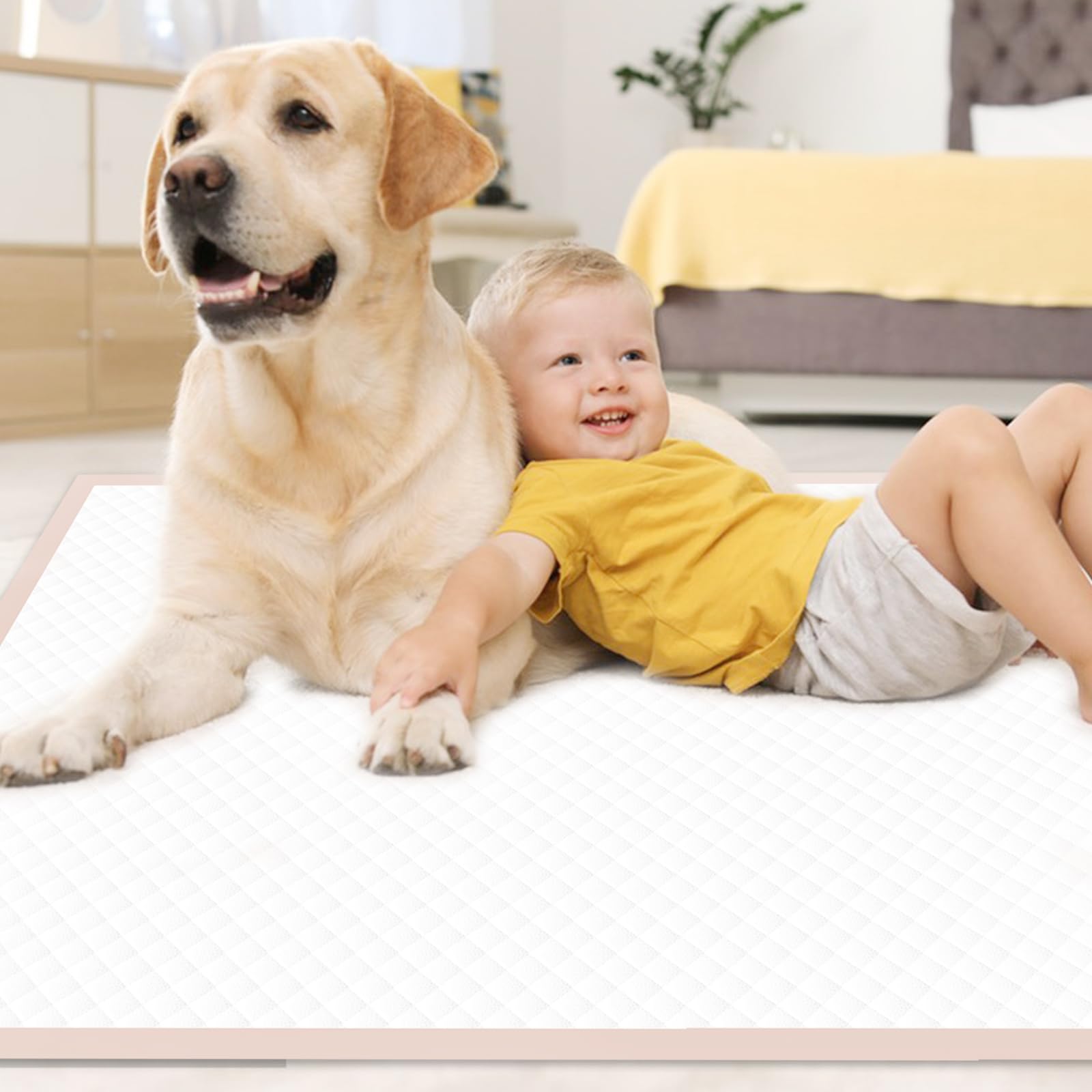 Oomicat XXL Puppy Pads wide applications for pets and multi-pet homes.