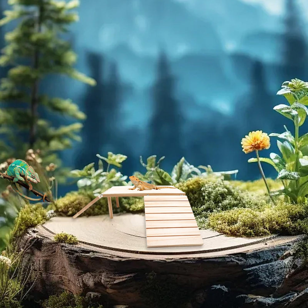Oooct Bearded Dragon Basking Platform cave hideout provides a natural retreat.