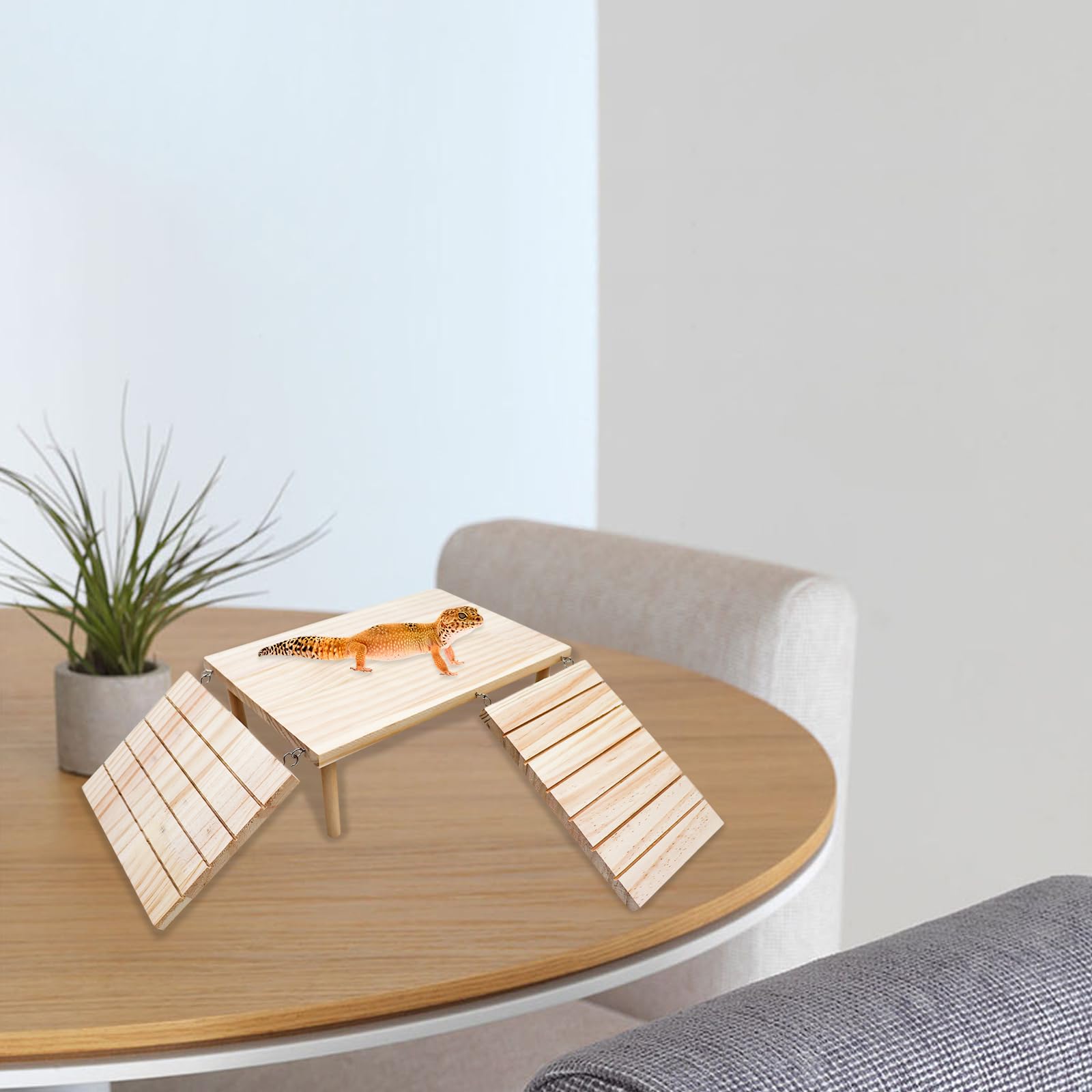 Oooct Bearded Dragon Basking Platform uses natural wood and stainless steel for a durable habitat setup.
