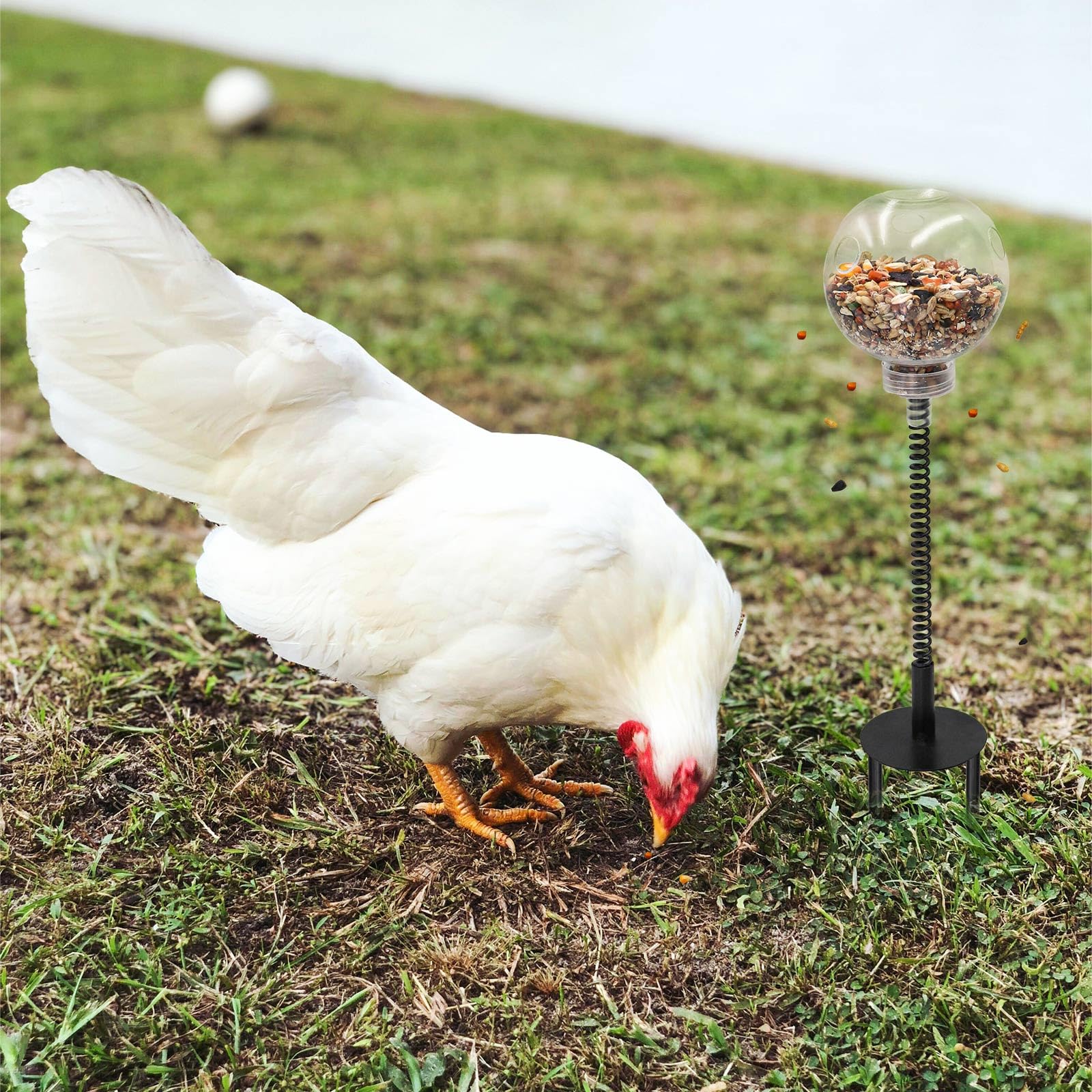 Oooct chicken-peck-toy holes-release shows food drops during play.