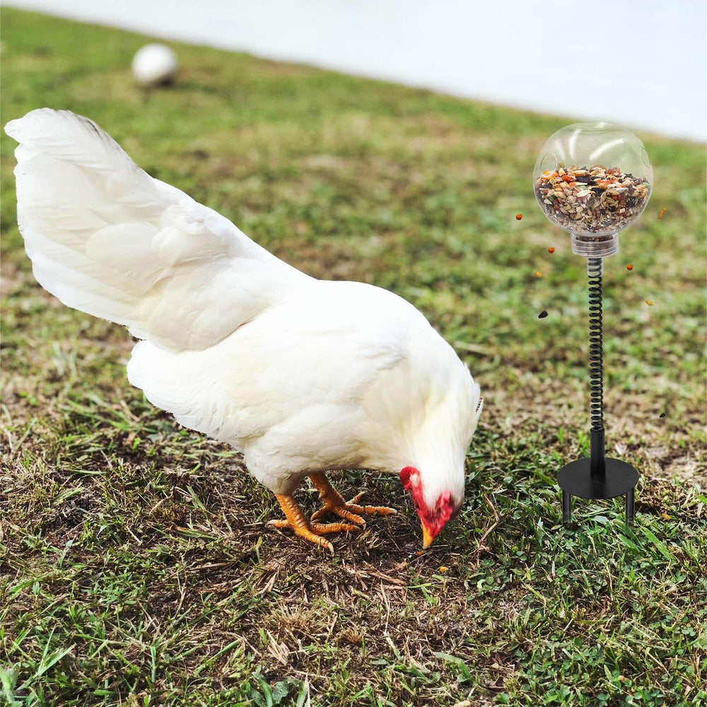 Oooct chicken-peck-toy holes-release shows food drops during play.