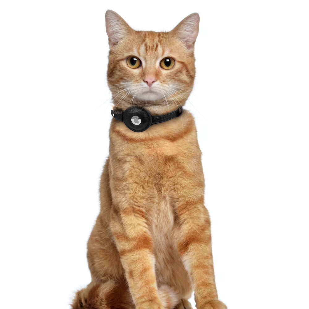 OOPSDOGGY cat collar with AirTag integration in black suitable for cats and small dogs.