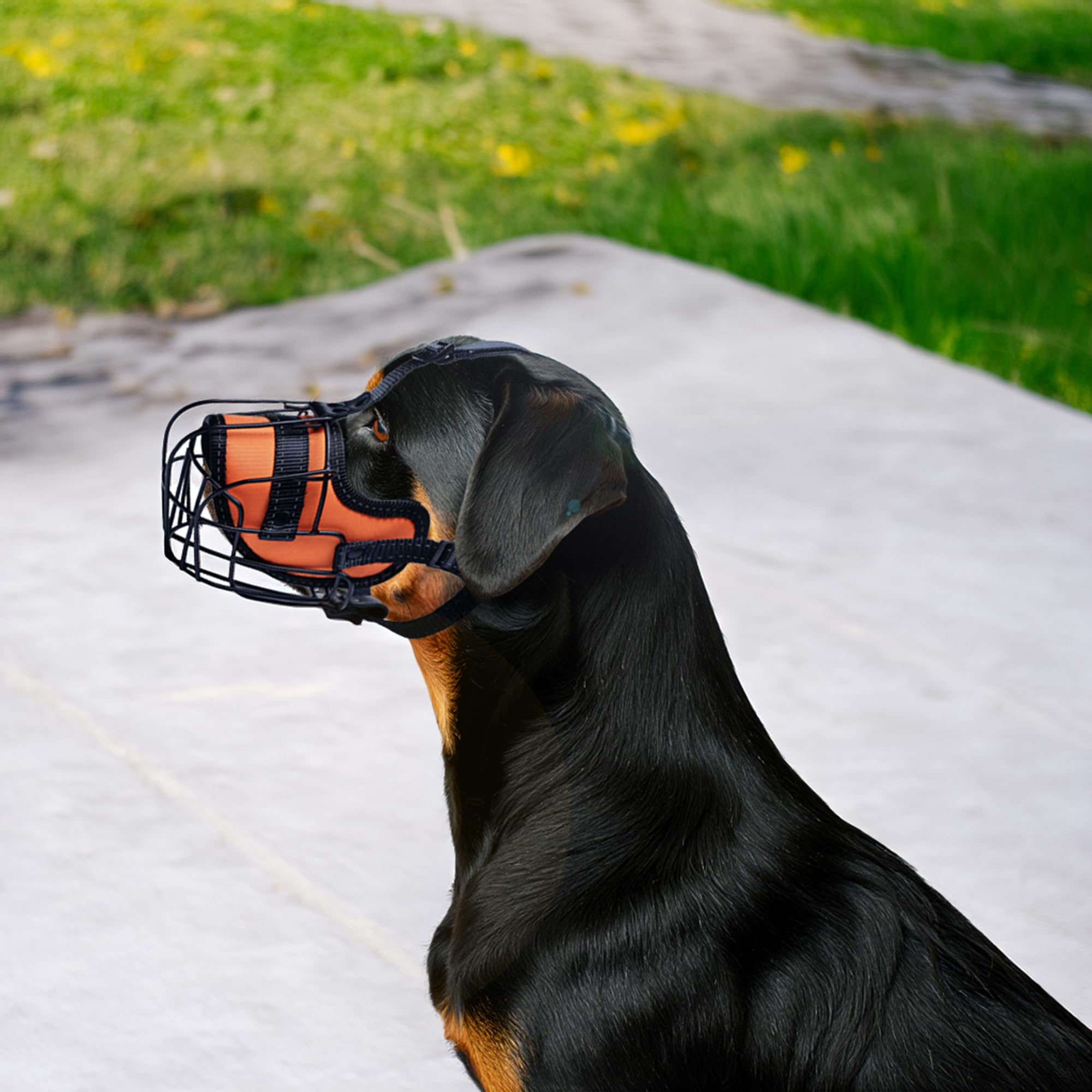 OOPSDOGGY reflective details boost safety on dawn and dusk strolls