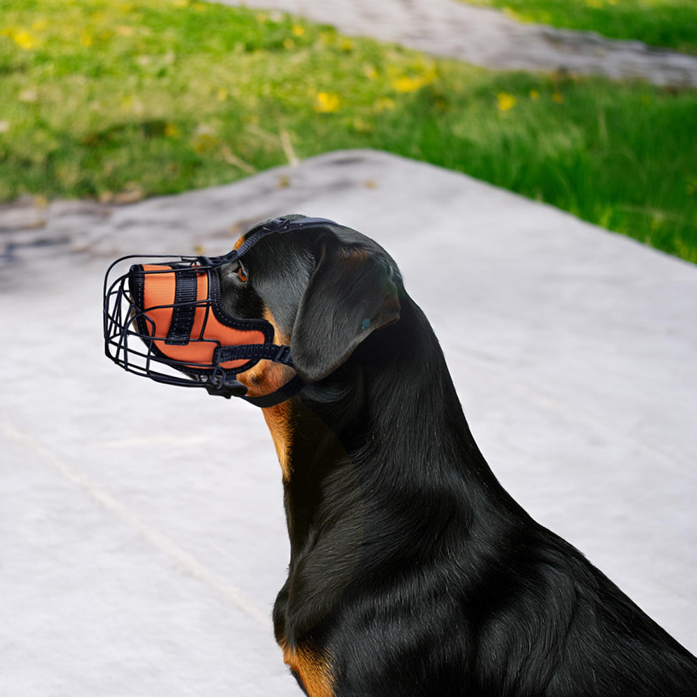 OOPSDOGGY reflective details boost safety on dawn and dusk strolls