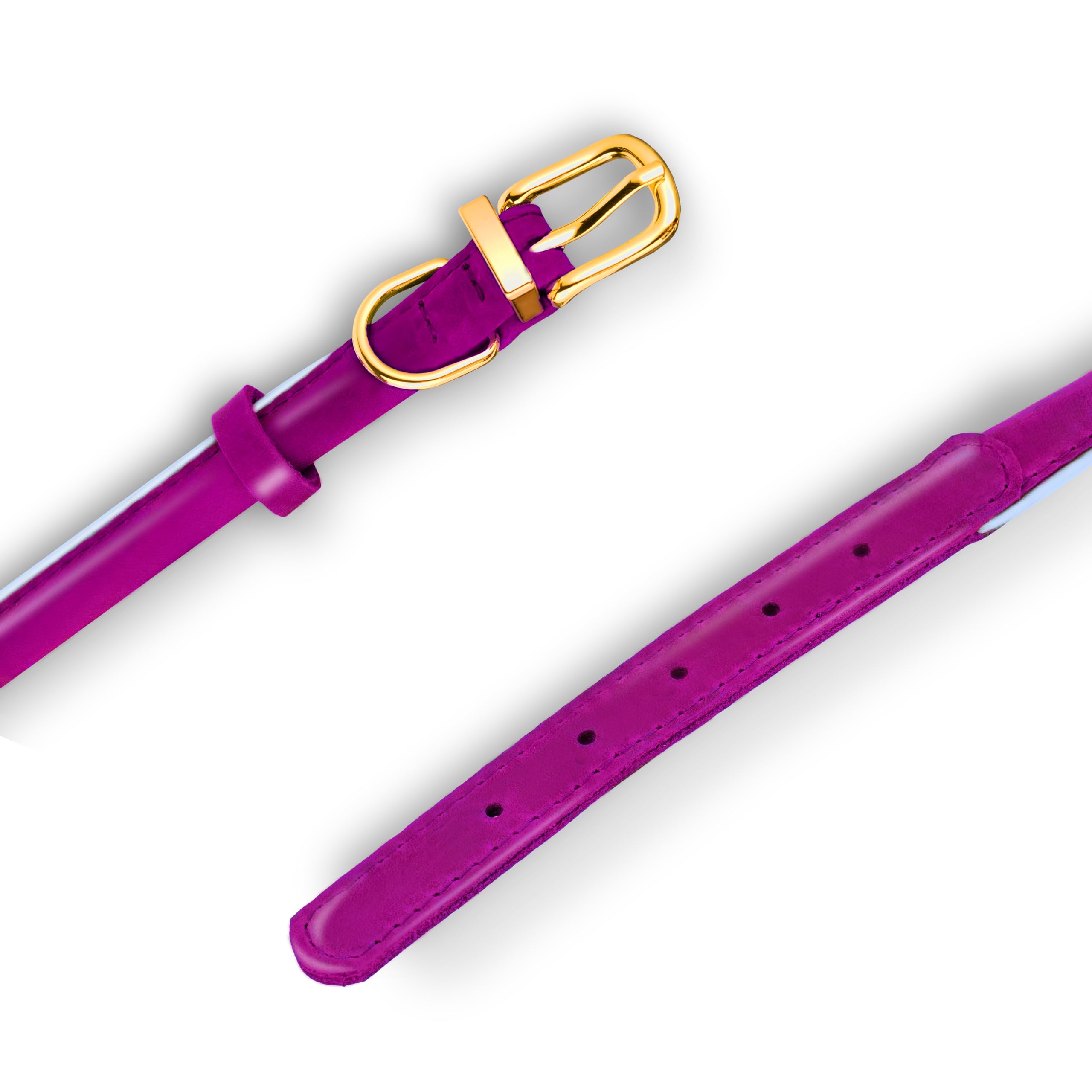 OOPSDOGGY collar color palette showing eight vibrant shade options for dogs.