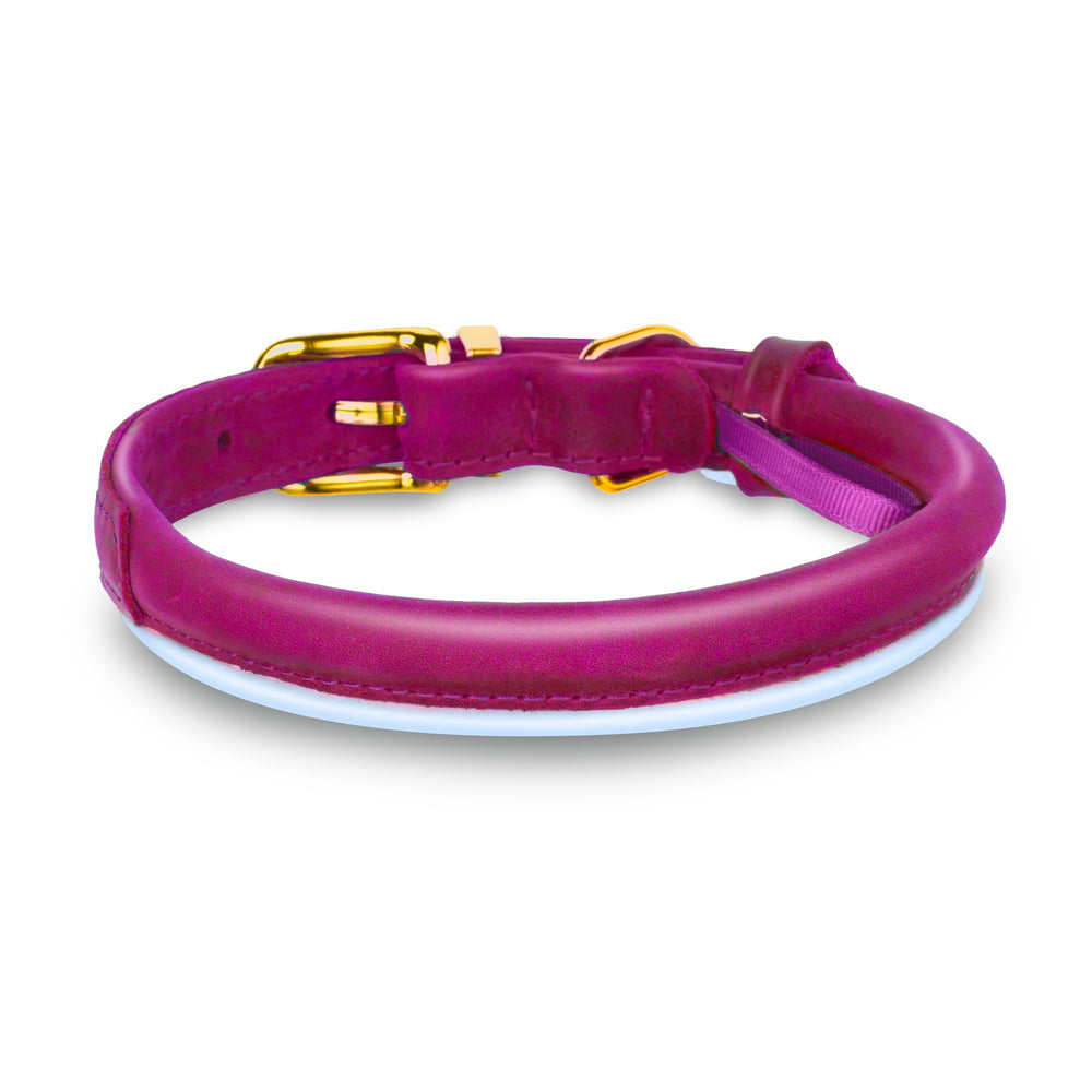OOPSDOGGY pink collar buckle close-up highlights durable hardware for everyday adventures.