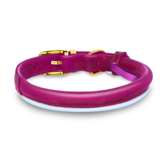 OOPSDOGGY pink collar buckle close-up highlights durable hardware for everyday adventures.