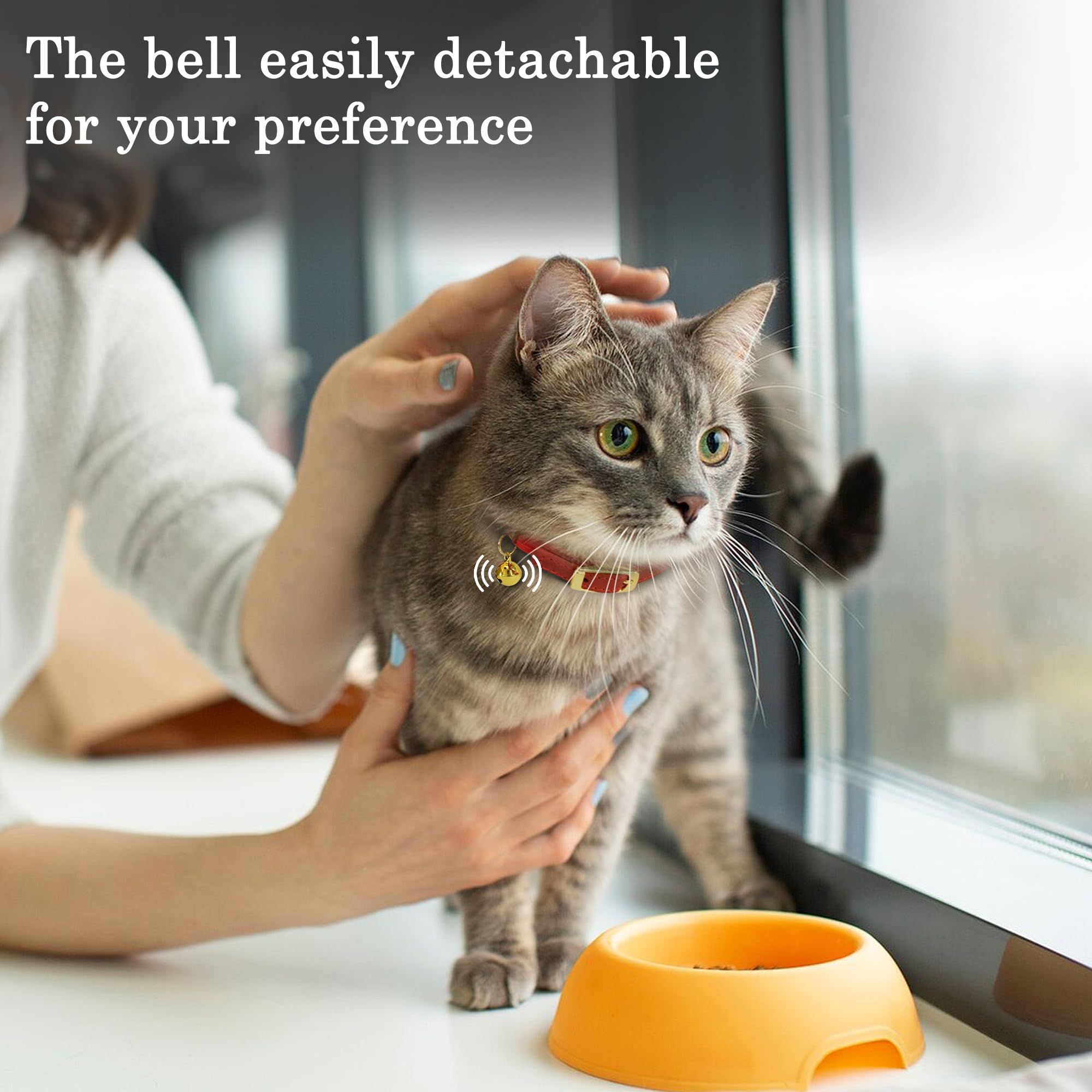 OOPSDOGGY rolled leather cat collar green designed for everyday comfort and durability.