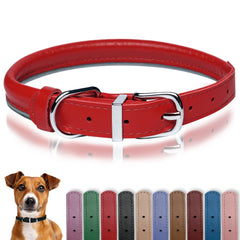 OOPSDOGGY rolled-leather-collar closeup shows premium leather texture for daily wear