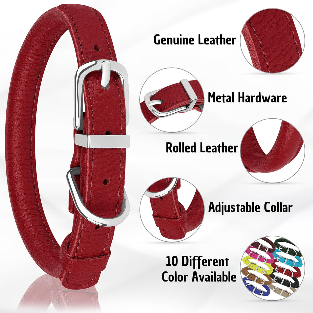 OOPSDOGGY rolled leather collar buckle closeup emphasizes sturdy hardware for daily use