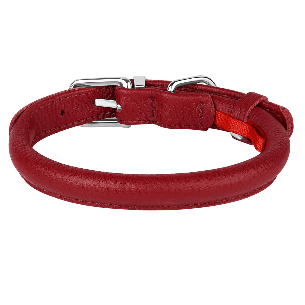OOPSDOGGY rolled leather collar on dog demonstrates secure fit for everyday adventures