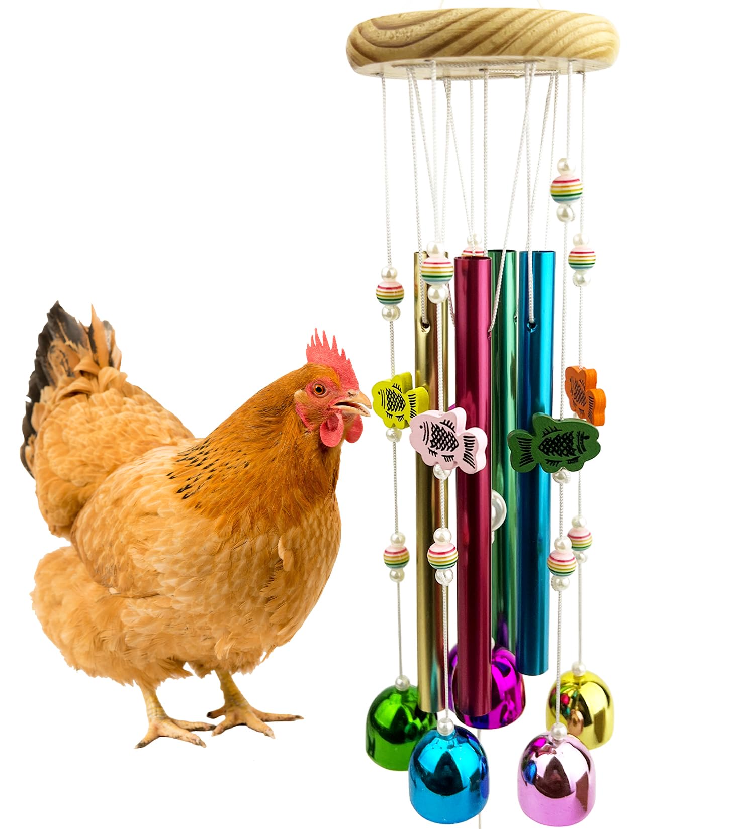 OOXYG versatile enrichment toy for coops and small birds beyond chickens.