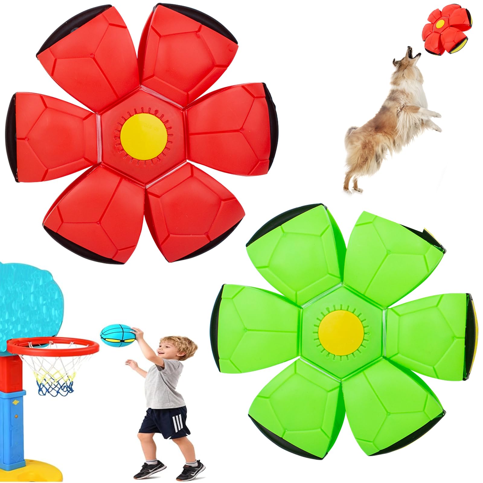 OOXYG Magic Bouncing Ball – dog interaction scene for active play and bonding.