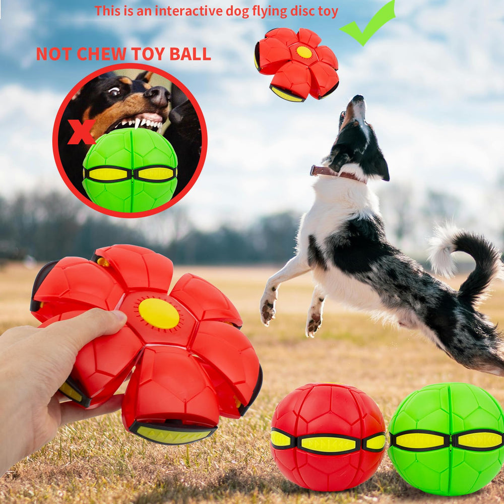 OOXYG Magic Bouncing Ball – three LED lights for visibility and excitement.