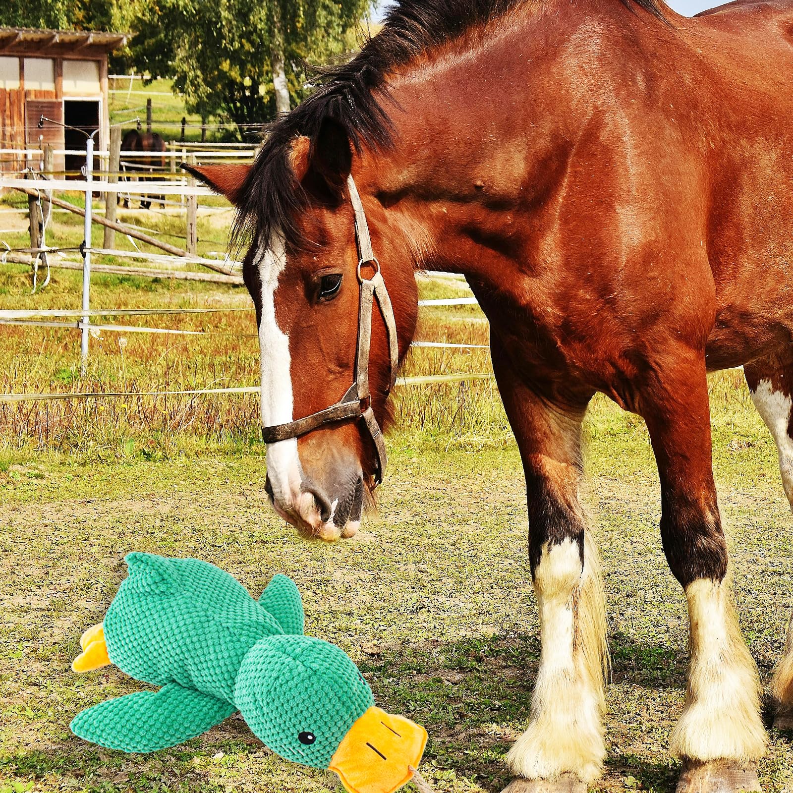 OOXYG plush duck toys, supports mental stimulation and bonding