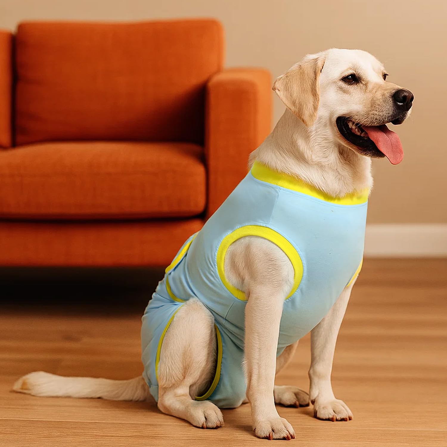 OPAW cone-less design helps avoid licking while pets eat, sleep, and play.