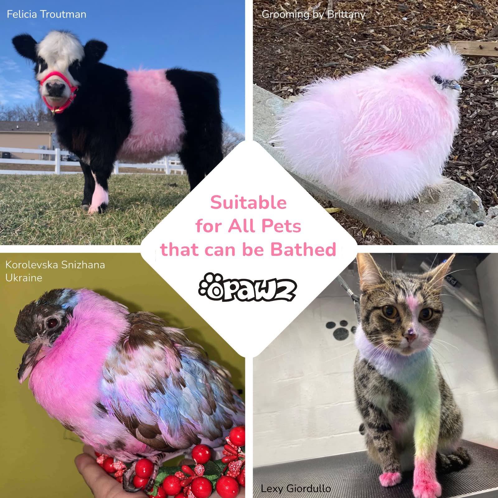 OPAWZ Color Depositing Shampoo closeup demonstrates blue dye on fur