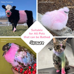 OPAWZ Color Depositing Shampoo closeup demonstrates blue dye on fur