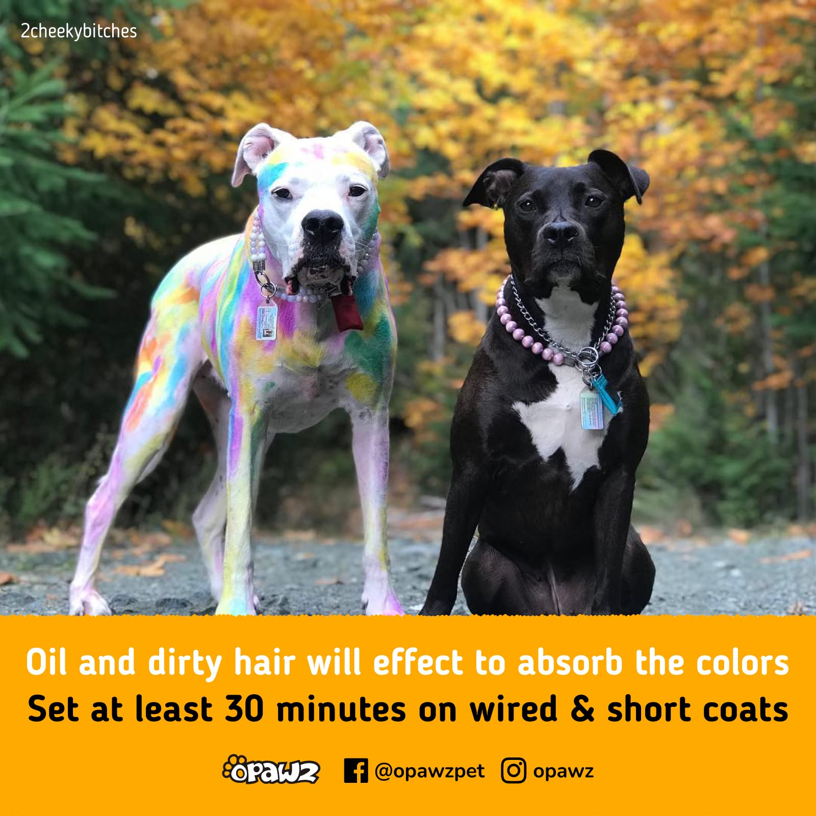 OPAWZ safe-use guidance for dogs, cats, and even horses.