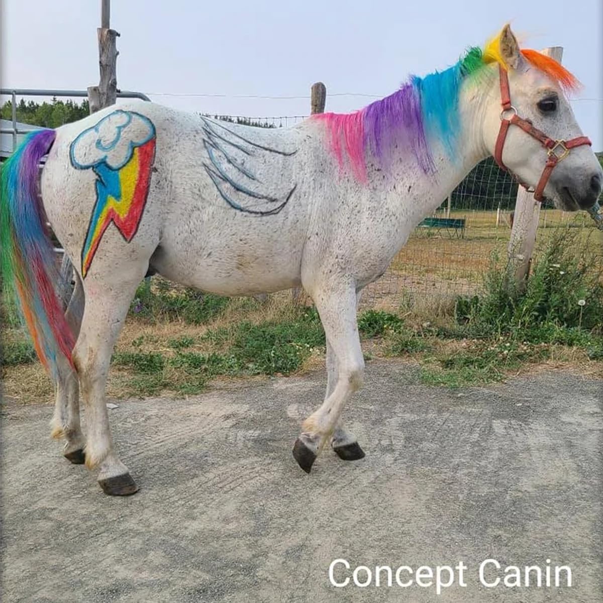 OPAWZ non-toxic ingredients label signaling pet safety