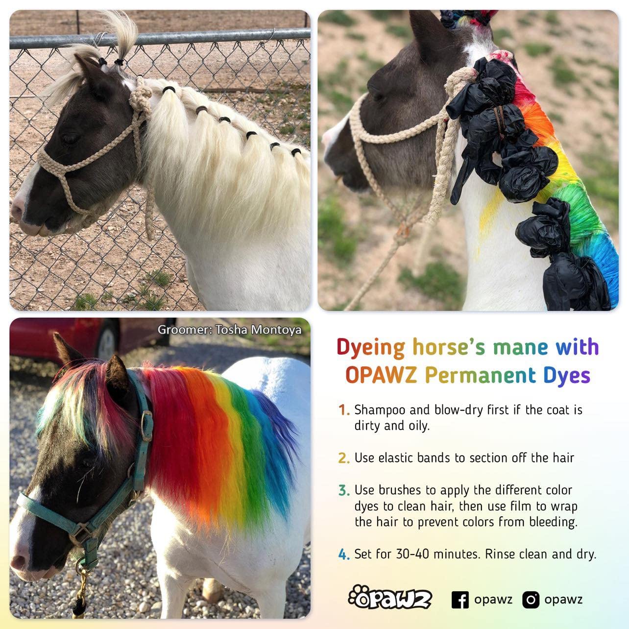 OPAWZ dye application area on a dog demonstrates targeted color for clean results.