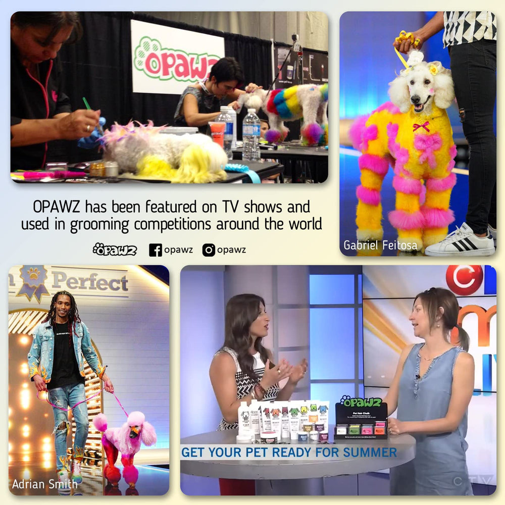 OPAWZ coat versatility image highlights dye's suitability across different dog coat types.