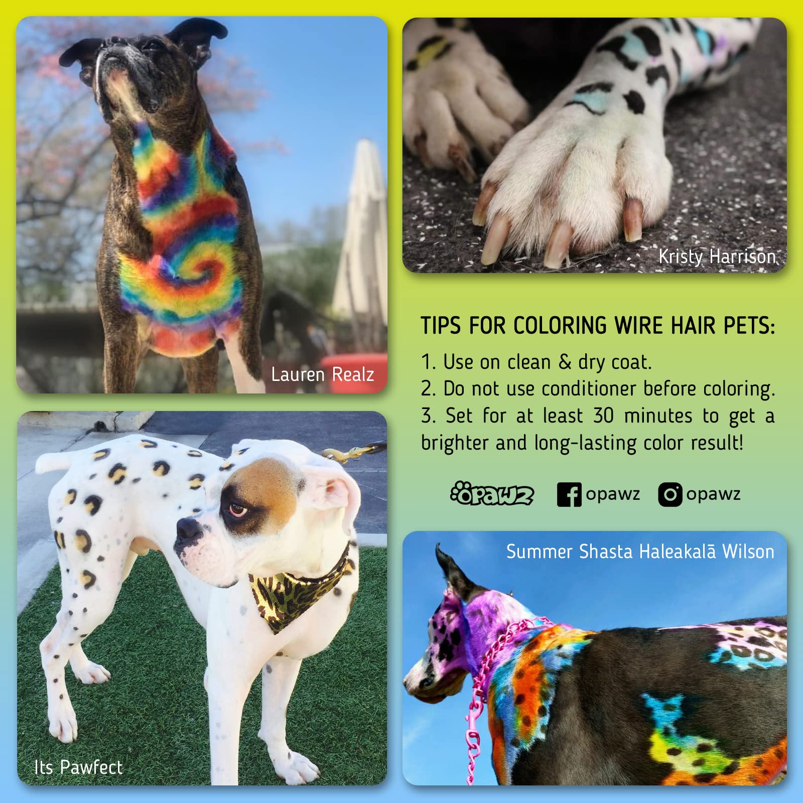 OPAWZ grooming competition look—bold red color that stands out