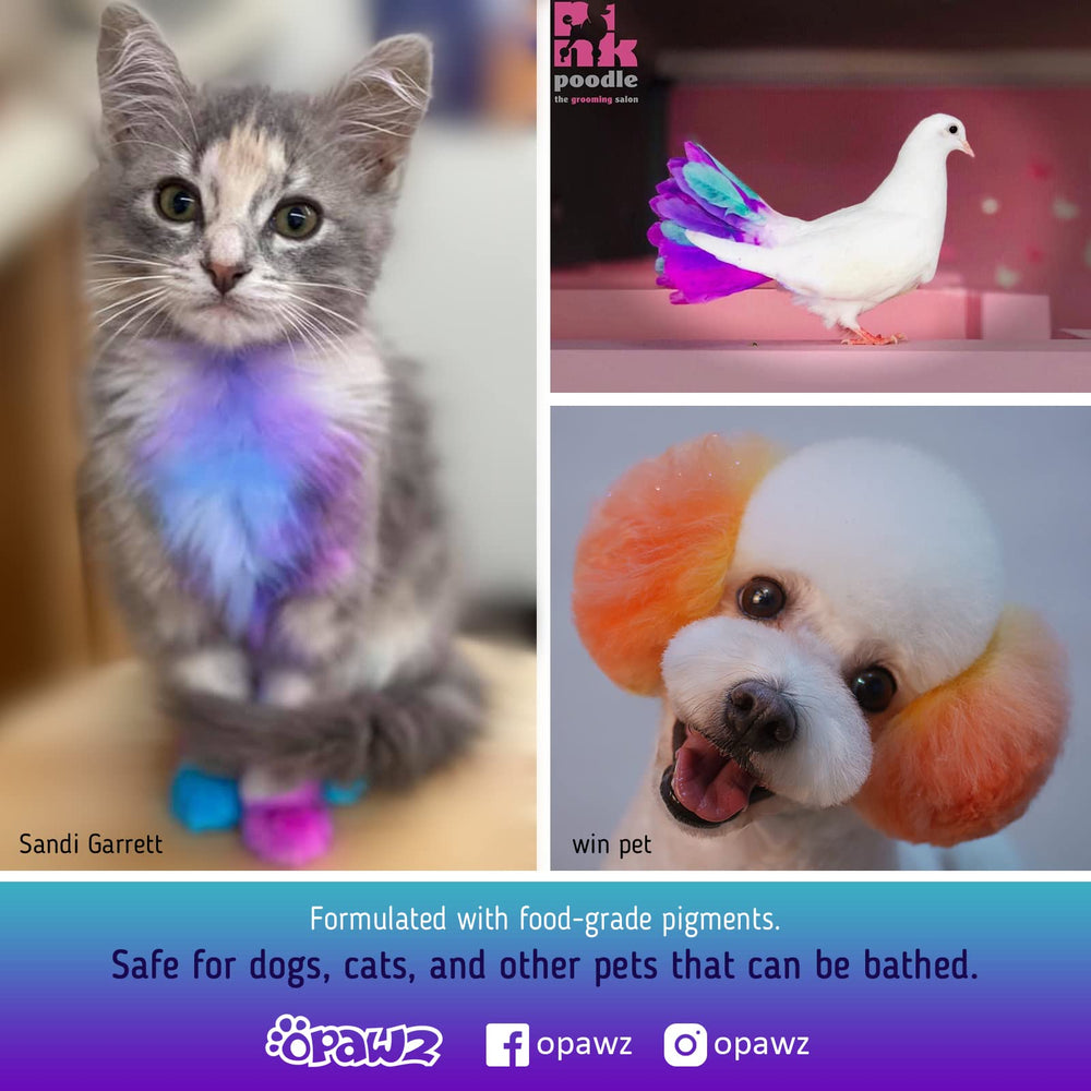 OPAWZ Pumpkin Orange application shows even coverage for vibrant pet color.