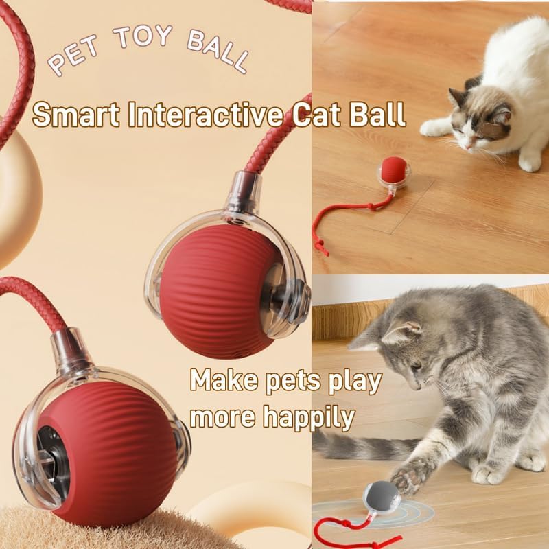 Opdent 360° cat ball red LED green setting supports slow engaging play