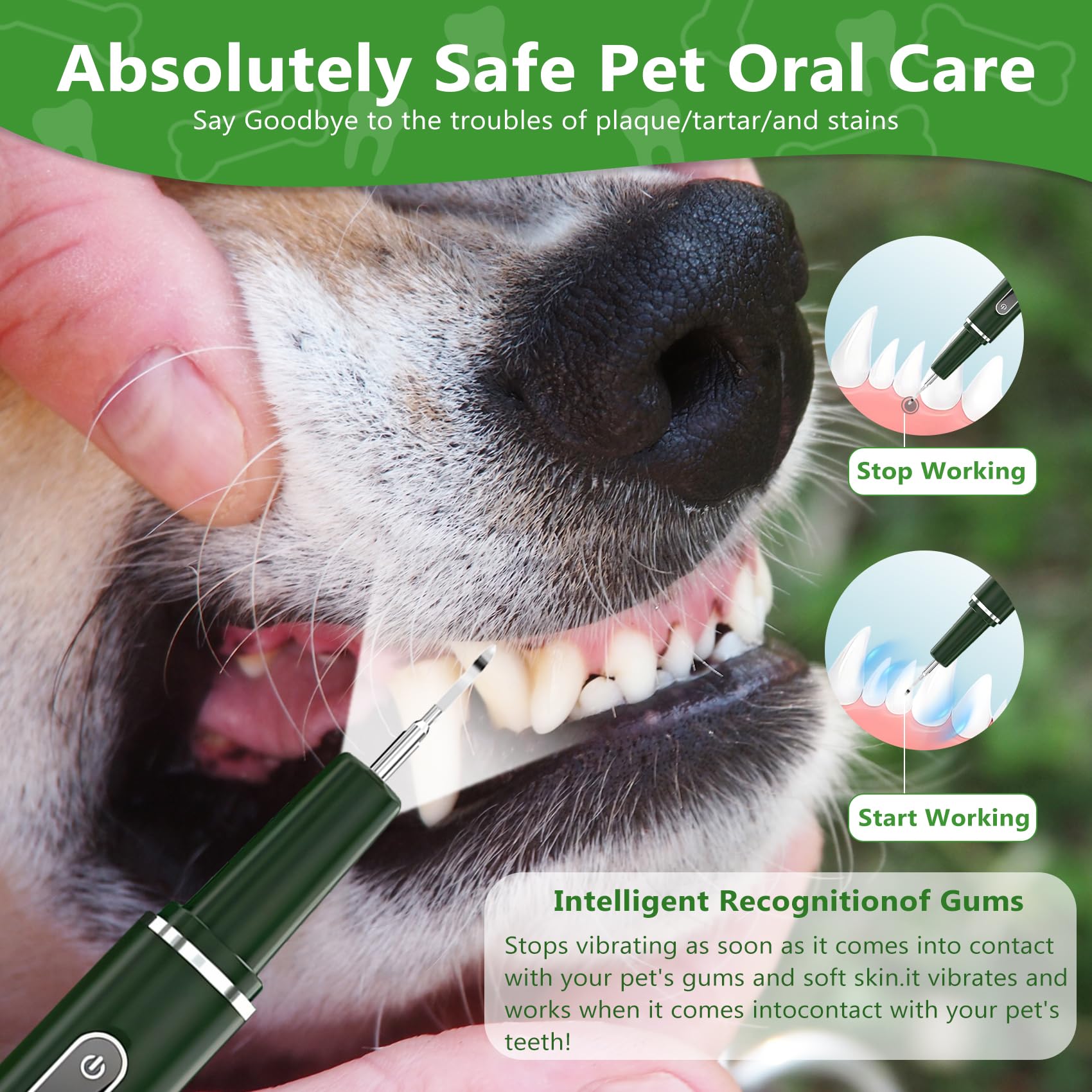 Opdent dental scraper kit accessories help clean plaque in dogs and cats.
