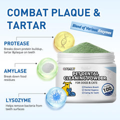 Close-up of Opdent probiotic blend in dental powder supporting oral health.