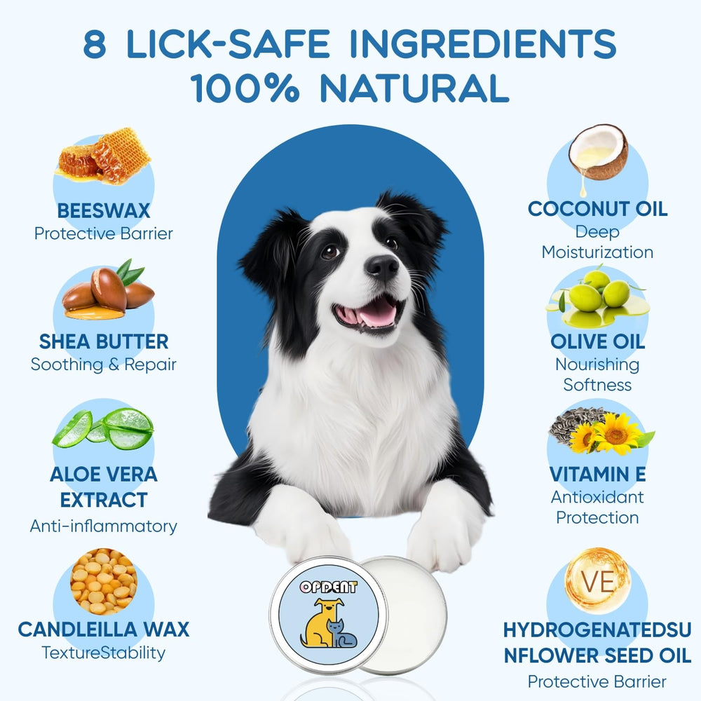 Opdent dog paw balm on paw demonstrating protective moisture barrier for outdoor adventures.