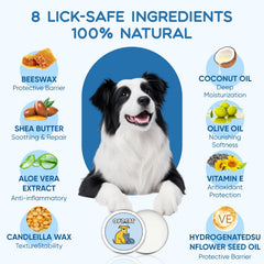 Opdent dog paw balm on paw demonstrating protective moisture barrier for outdoor adventures.