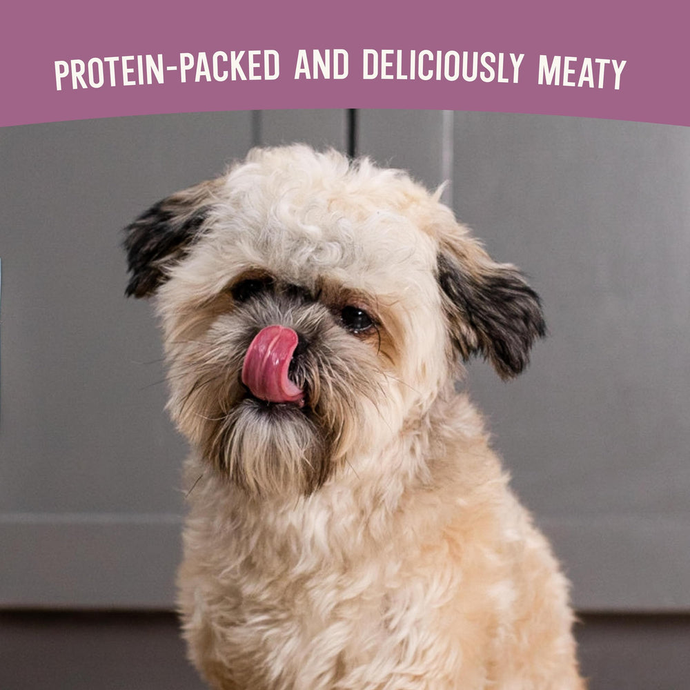 Open Farm air-dried dog food texture close-up emphasizes jerky-like bite for training treats.