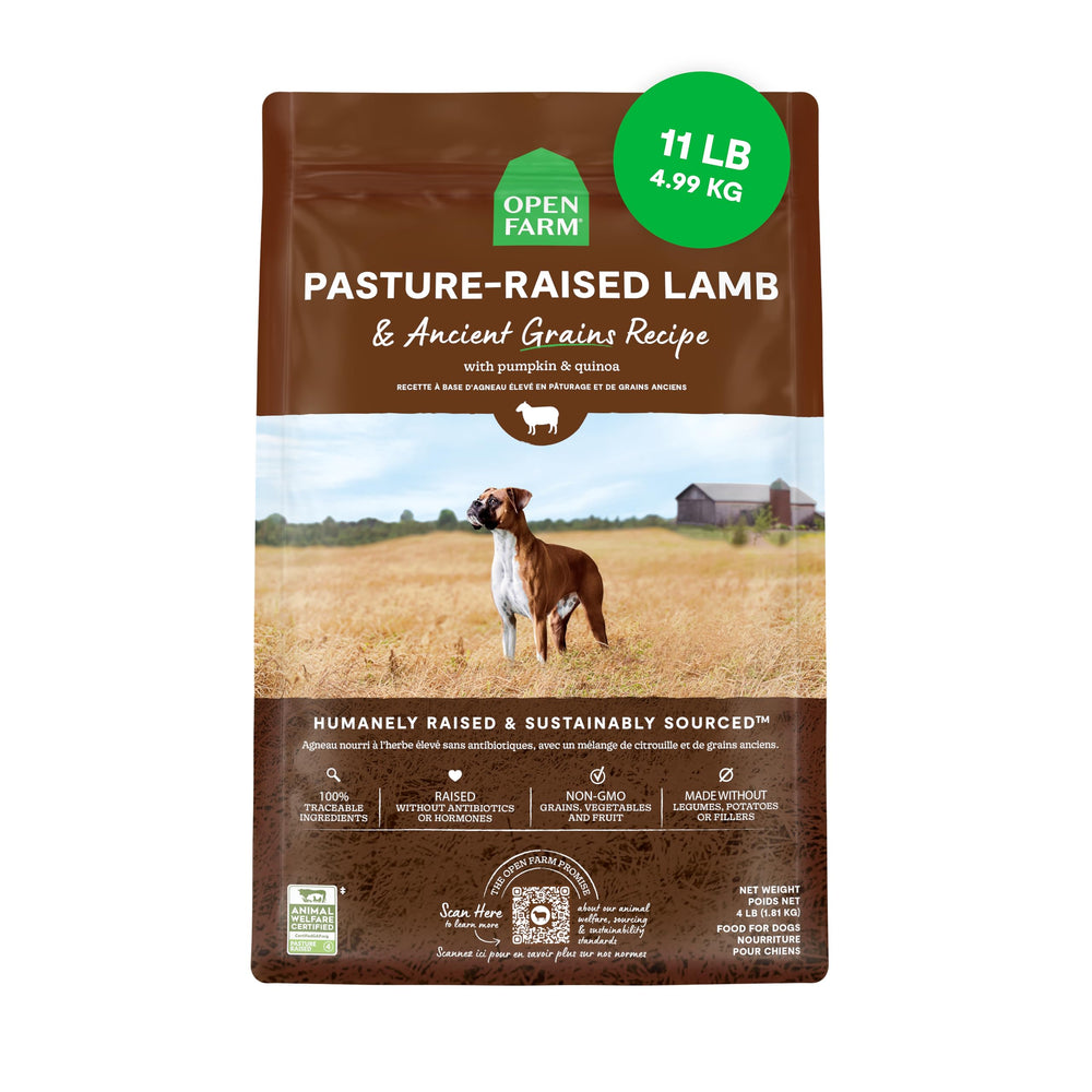 Open Farm ancient grains dry dog food bag front shows protein-rich recipe for strong muscles