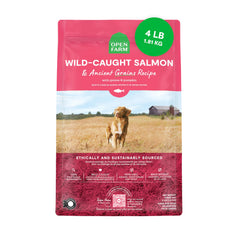 Open Farm Ancient Grains Dry Dog Food bag shows protein-rich bites for active dogs.