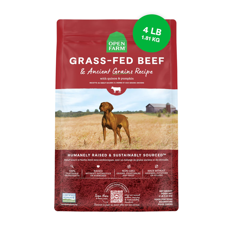Open Farm Ancient Grains dry dog food in bowl scene—protein-rich meal for active dogs.