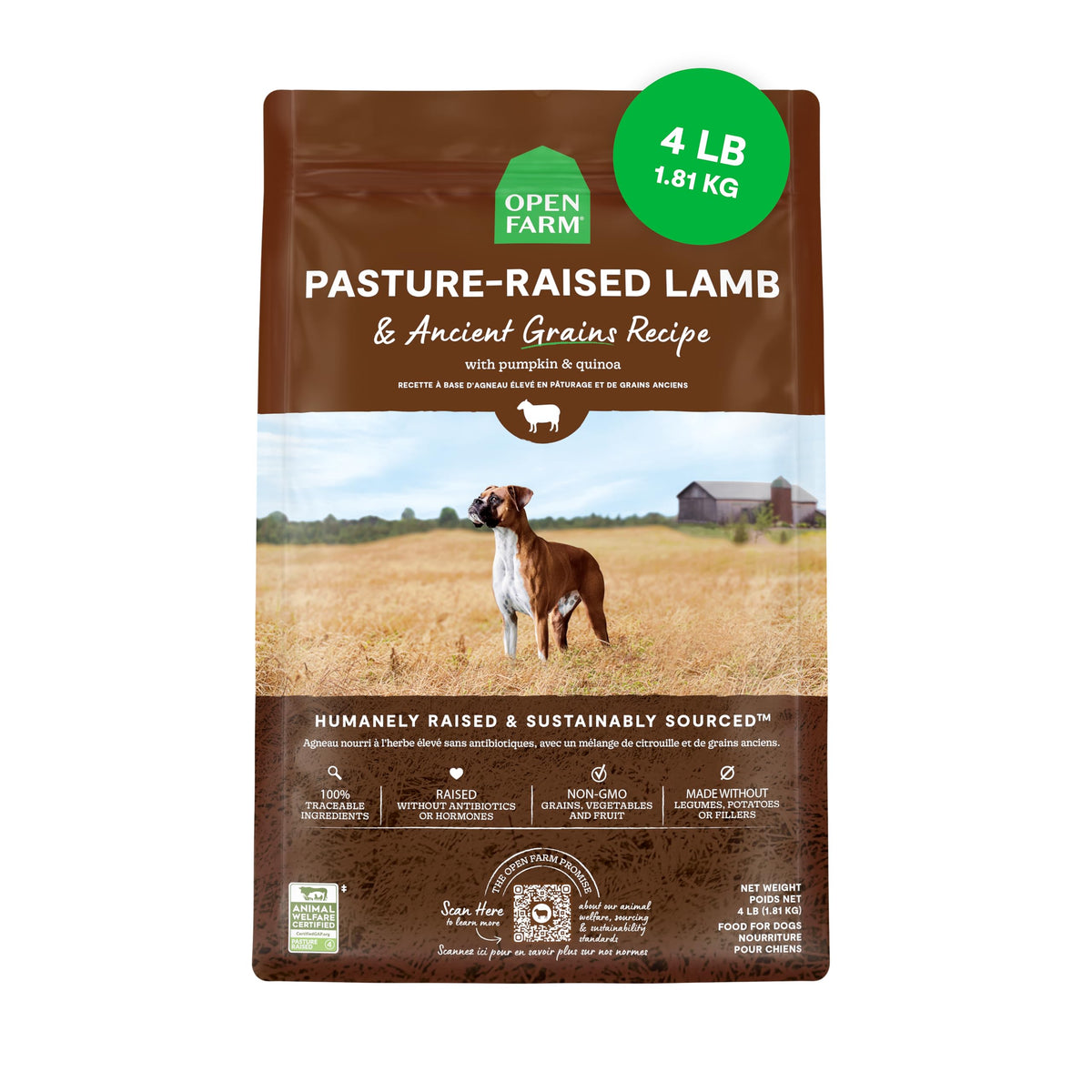 Open Farm ancient grains dry dog food in a bowl for balanced digestion