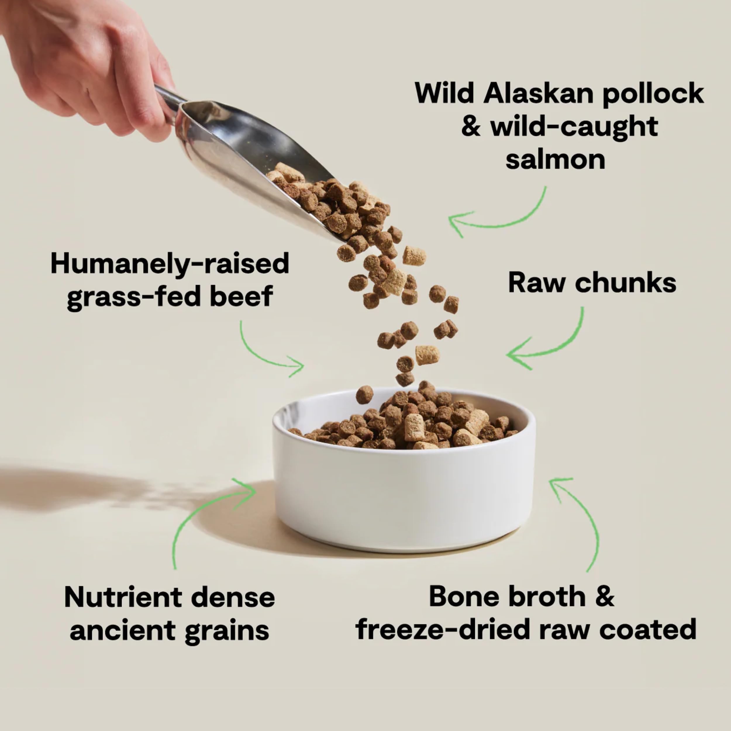 Open Farm ancient grains kibble closeup highlights nutritious grains for steady energy.