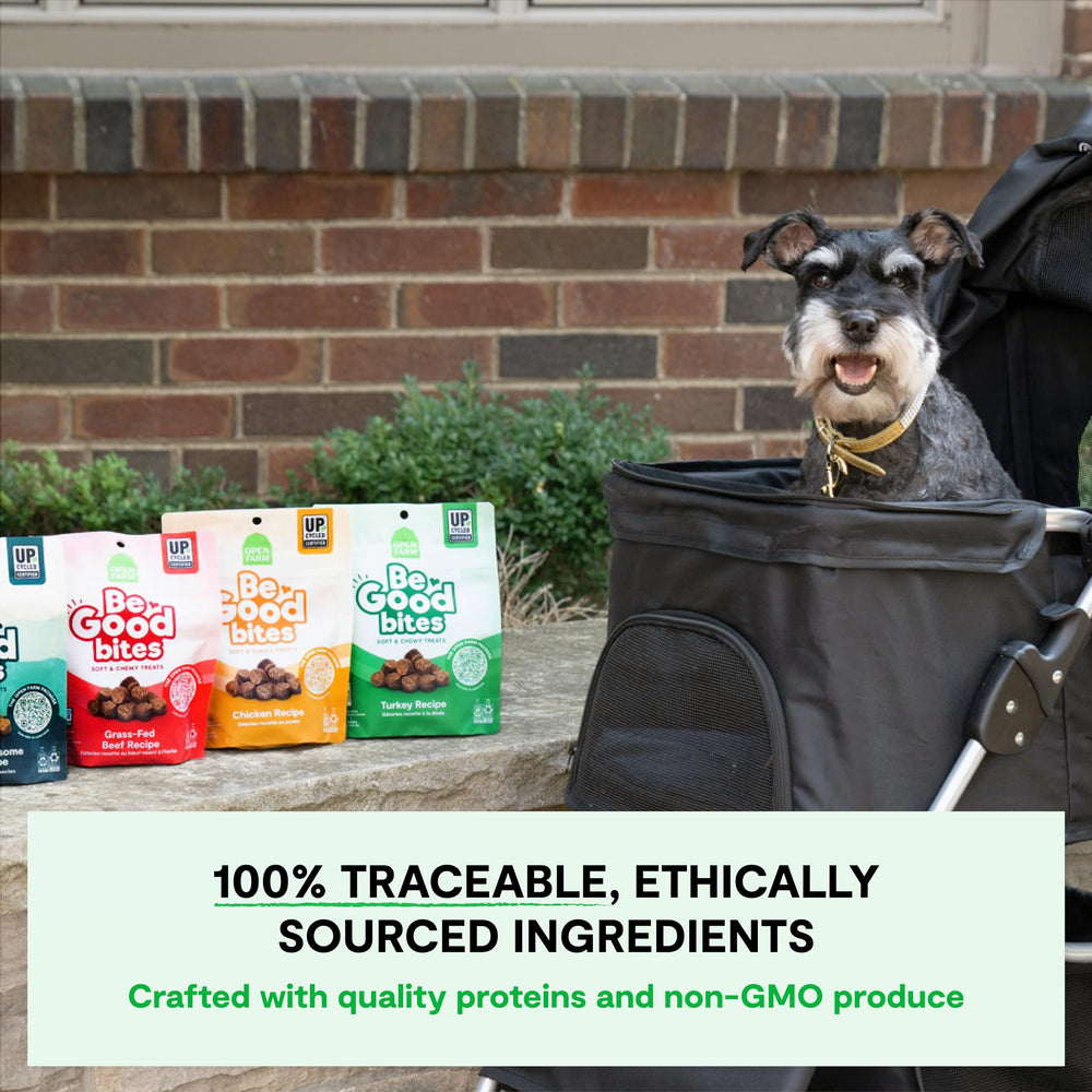 Open Farm Be Good Bites dog being trained with soft, chewy rewards.