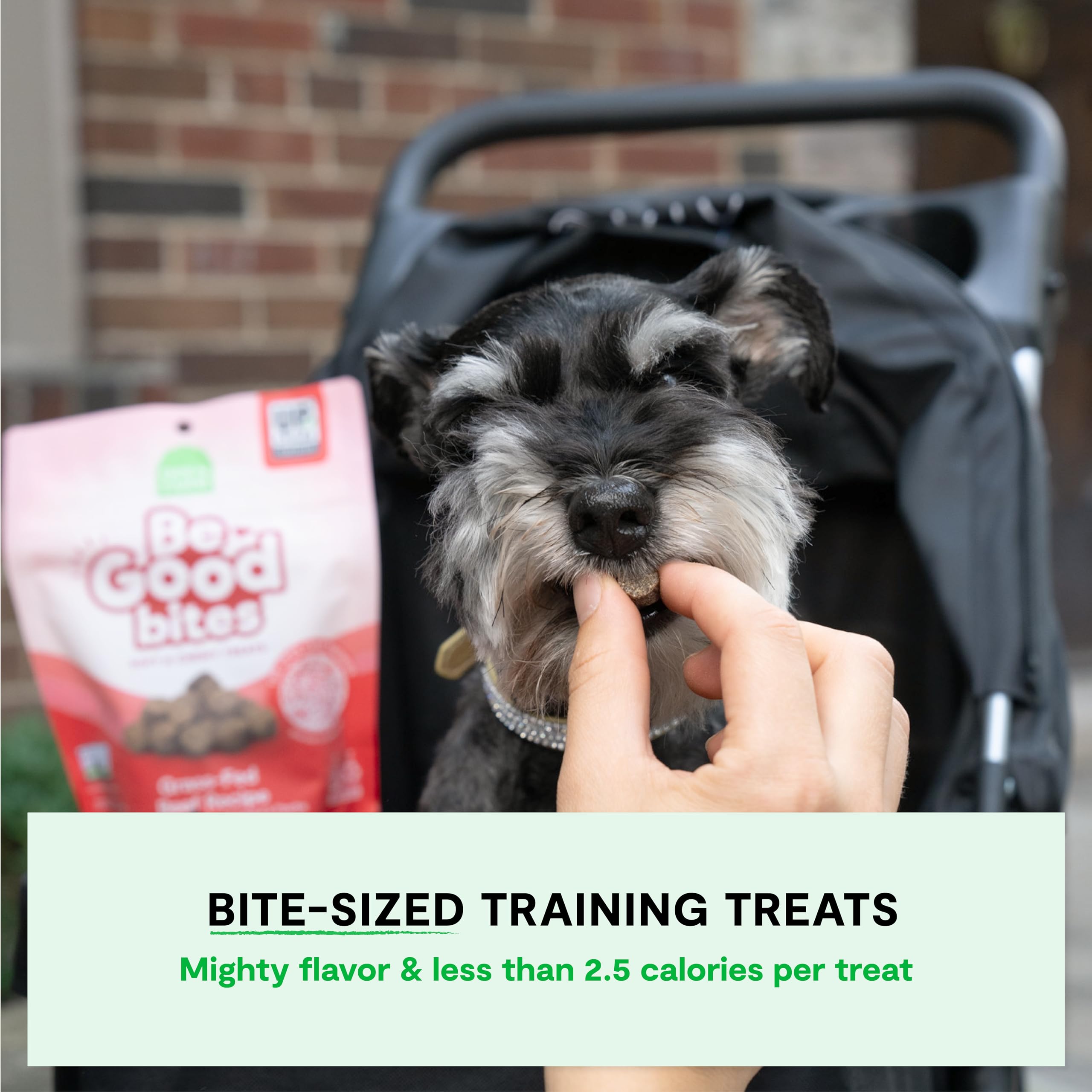 Open Farm Be Good Bites soft treats close-up, low-calorie rewards for extended training.