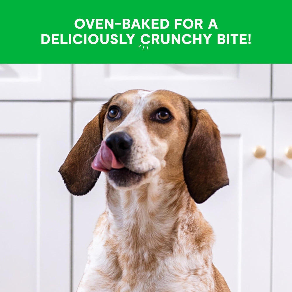 Open Farm Better Biscuits with bone broth for gentle digestion.