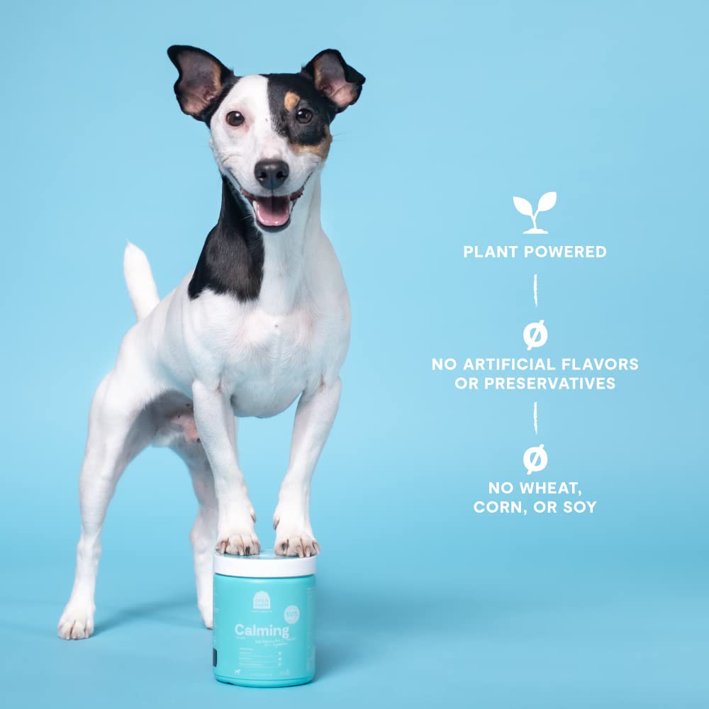 Open Farm Calming Chews packaging with recycle icon demonstrates eco-friendly packaging.