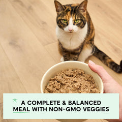 Open Farm grain-free-legume-free cat food avoids fillers for cleaner ingredients