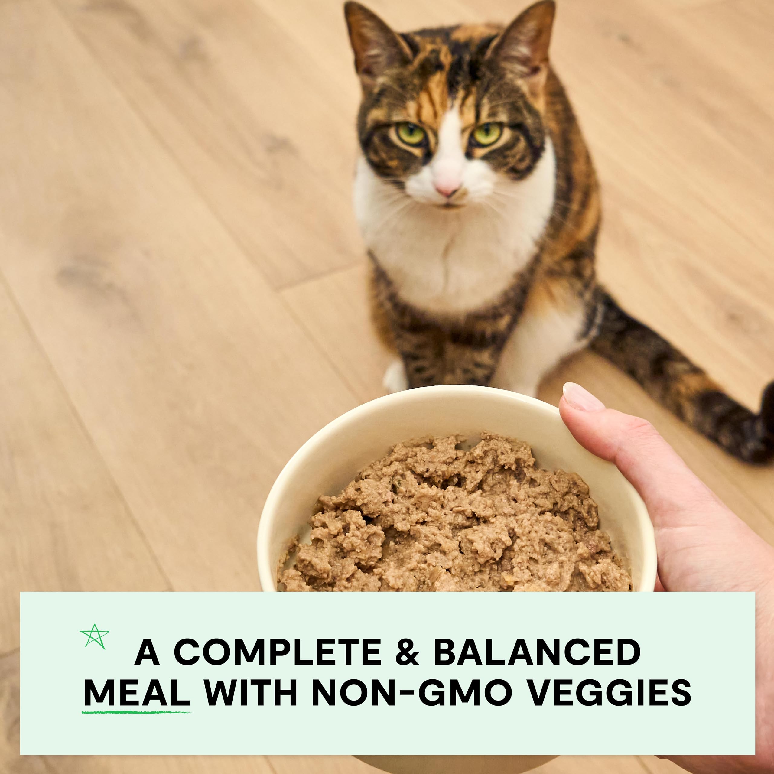 Open Farm no artificial flavors label highlights natural ingredients