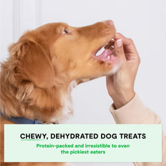 Open Farm Dehydrated Pork Treats packaging shows USA-made, humane pork in a resealable bag.