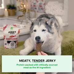 Open Farm salmon jerky grain-free close-up appealing to picky eaters