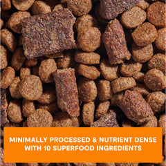 Open Farm Epic Blend bone broth-infused kibble offers rich aroma and savory depth.