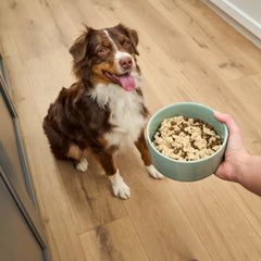 Open Farm feeding time setup with mousse topper on dog bowl.